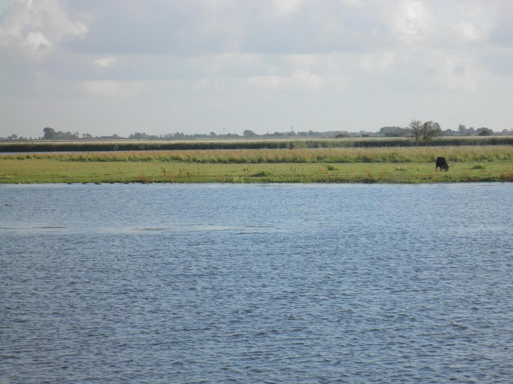 Leonie 6 Pers Holiday Home With A Large Garden Close To The Lauwersmeer Anjum Exterior photo